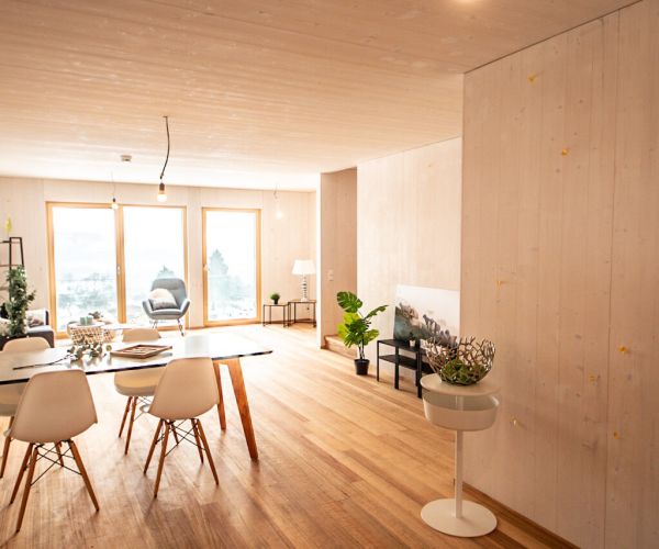 Home Staging Reichenbach-Fils, Esslingen - Haus - Wohnzimmer / Esszimmer - Nachher